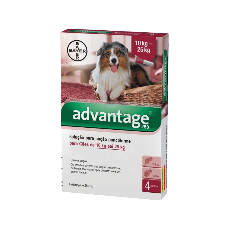 ADVANTAGE CAO 10 - 25 KG CX4 ADVANTAGE CAO 10 - 25 KG CX4 - Antiparasitários - Tratamentos para cão