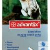 ADVANTAGE CAO ATE 4 KG CX4 ADVANTAGE CAO ATE 4 KG CX4 - Antiparasitários - Tratamentos para cão