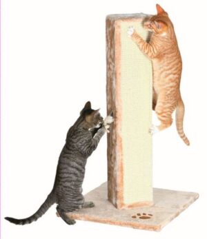 ARRANHADOR SORIA P/ GATOS (BEGE) ARRANHADOR SORIA P/ GATOS (BEGE) - Acessórios para gato - Produtos para gato