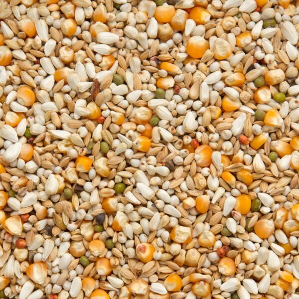 BEYERS GABY VANDENABEELE 20 KG - Alimentação base para pombos - Produtos para pombos