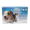 CAPSTAR 11.4 MG AZUL 1 A 11 KG - Antiparasitários - Tratamentos para cão