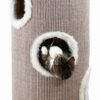 CAT TOWER EM SISAL 36x70 CM - Acessórios para gato - Produtos para gato