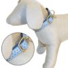 COLEIRA MYLORD AZUL 35-50*20 MM - Acessórios para cão - Produtos para cão