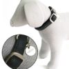 COLEIRA MYLORD ROXO 26-40*15 MM - Acessórios para cão - Produtos para cão