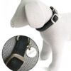 COLEIRA MYLORD PRETA 20-30*10 MM - Acessórios para cão - Produtos para cão