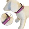 COLEIRA MYLORD ROXO 35-50*20 MM - Acessórios para cão - Produtos para cão