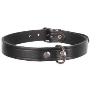 COLEIRA PELE BASIC PRETO - Acessórios para cão - Produtos para cão
