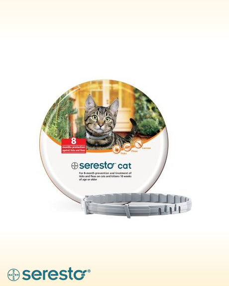 COLEIRA SERESTO 38 CM GATO (LARANJA) - Antiparasitários - Tratamentos para gato