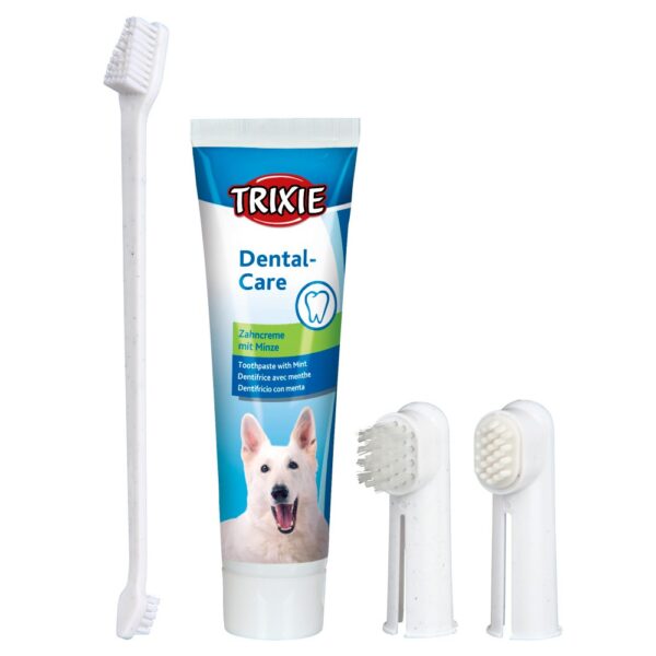 CONJ HIGIENE DENTARIA P/ CAES - Diversos para higiene - Produtos para cão