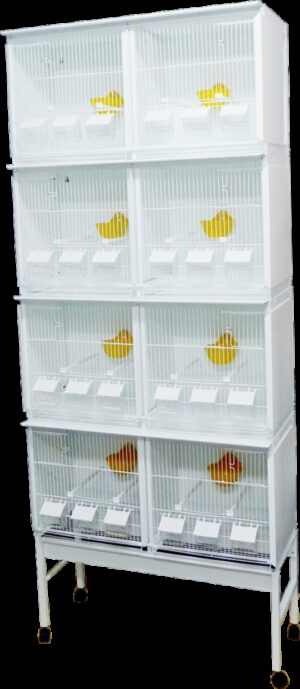 HT CONJ VIVEIRO STYLE 825*2020 C/ RODAPE + TABULEIRO - Produtos para aves - Viveiros para aves