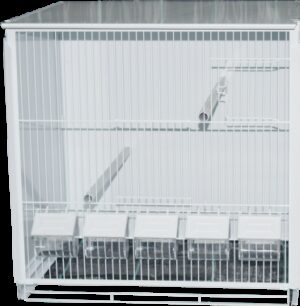 HT PASSARINHEIRA STYLE 510*430*515 - Produtos para aves - Viveiros para aves