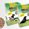 BLOCO MINERAL XL CASCA OSTRA 190 GR BLOCO MINERAL XL CASCA OSTRA 190 GR - Alimentação para aves - Varios
