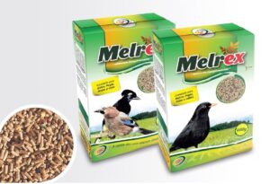 MELREX ALIMENTO P/ MELROS 600 GR - Alimentação para aves - Varios
