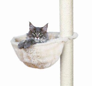 NICHO FUNDO P/ ARRANHADOR DE GATOS (CREME) - Acessórios para gato - Produtos para gato