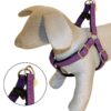 PEITORAL MYLORD ROXO 60-100*25 MM - Acessórios para cão - Produtos para cão