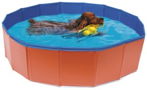 PISCINA P/ CAO 120*30 CM - Acessórios para cão - Produtos para cão