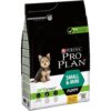 PRO PLAN SMALL & MINI PUPPY CHICKEN 7 KG - Alimentação para cães - Produtos para cão