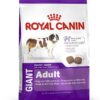 ROYAL CANIN GIANT JUNIOR 15 KG - Alimentação para cães - Royal Canin