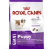 ROYAL CANIN MAXI DERMACOMFORT 3 KG - Alimentação para cães - Royal Canin