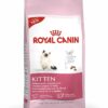 ROYAL CANIN HAIRBALL CARE 400 GR - Alimentação para gatos - Royal Canin