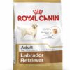 ROYAL CANIN LABRADOR ADULT 3 KG - Alimentação para cães - Royal Canin