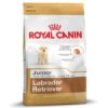 ROYAL CANIN MAXI ADULT 15 KG - Alimentação para cães - Royal Canin