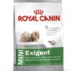 ROYAL CANIN MINI AGEING +12 3.5 KG - Alimentação para cães - Royal Canin