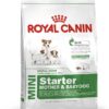ROYAL CANIN MINI EXIGENT 2 KG ROYAL CANIN MINI EXIGENT 2 KG - Alimentação para cães - Royal Canin