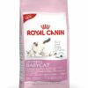 ROYAL CANIN MOTHER & BABYCAT 4 KG - Alimentação para gatos - Royal Canin