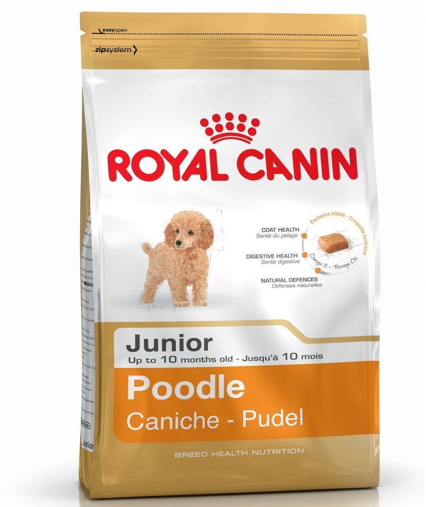ROYAL CANIN POODLE JUNIOR 500 GR ROYAL CANIN POODLE JUNIOR 500 GR - Alimentação para cães - Royal Canin