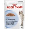 ROYAL CANIN AGEING +12 (gravy) 85 GR - Alimentação Humida para gatos - Royal Canin