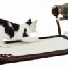 PRANCHA DE ARRANHAR JUMBO P/ PAREDE (BEGE) - Acessórios para gato - Produtos para gato