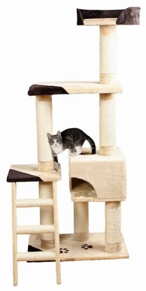 TREPADOR MONTORO P/ GATO (BEGE/ CASTANHO) TREPADOR MONTORO P/ GATO (BEGE/ CASTANHO) - Acessórios para gato - Produtos para gato